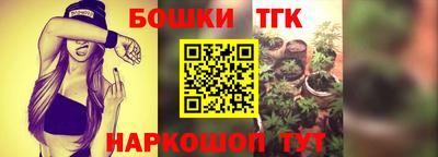 МДПВ Аша