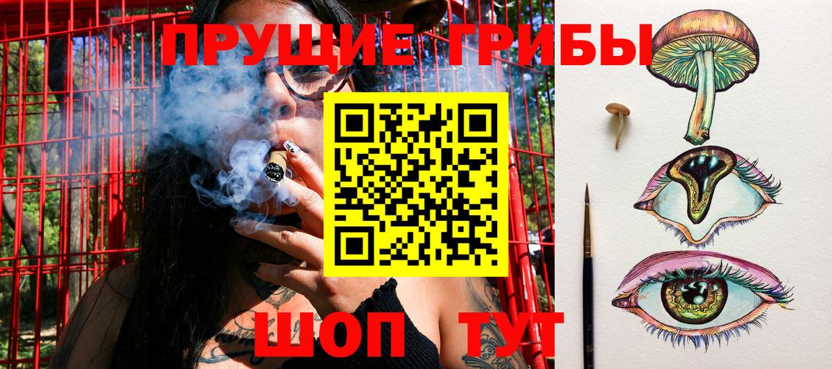 Псилоцибиновые грибы GOLDEN TEACHER  Вход с VPN  Губкин 